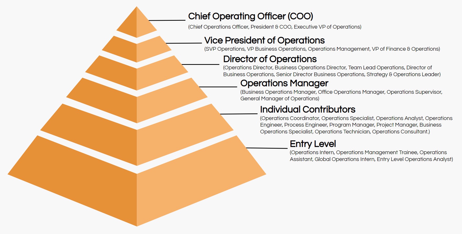 Job titles hierarchy